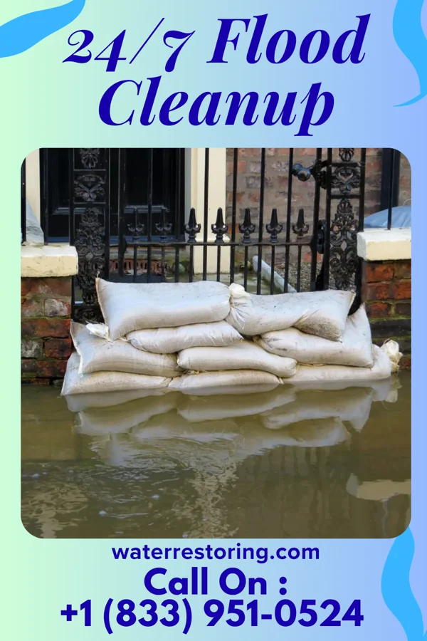 24/7 Flood Cleanup in Central City, AR